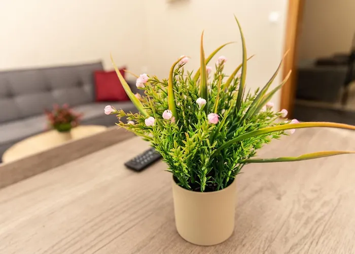 Pukki * بلدة كوس